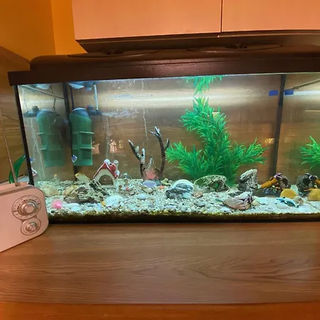 2-room With Balcony 60m2 In Viimsi Center Lägenhet