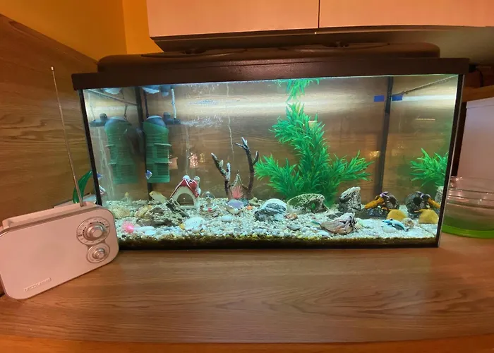 2-room With Balcony 60m2 In Viimsi Center Appartamento